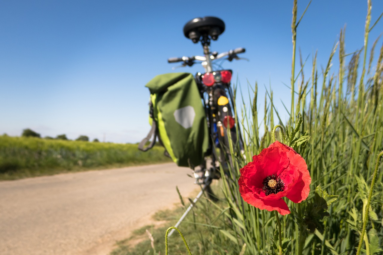 Ciclovie a Ricengo: sfide, incertezze, ostacoli.